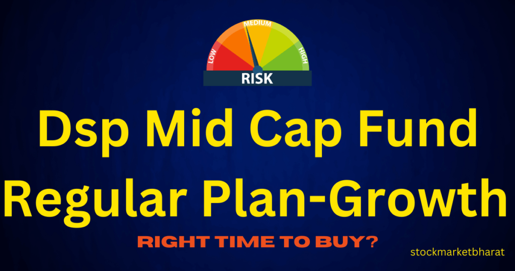 Dsp Mid Cap Fund Regular Plan Growth Dsp Mid Cap Fund Regular Plan Growth