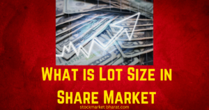 What is Lot Size in Share Market